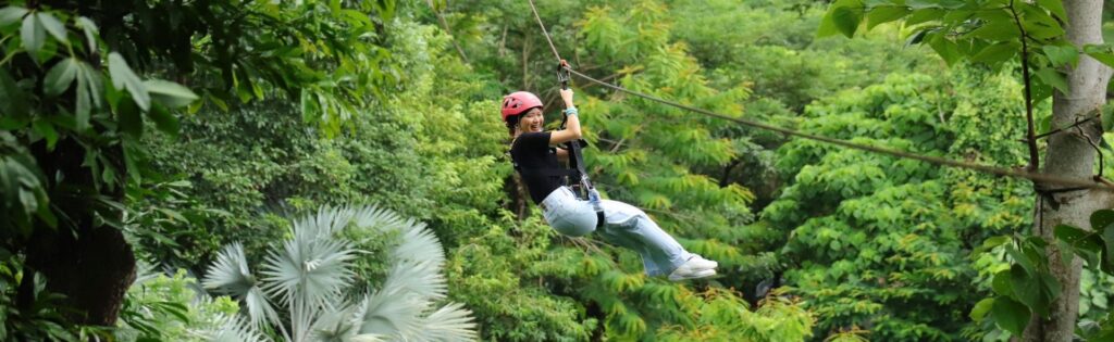 Zipline